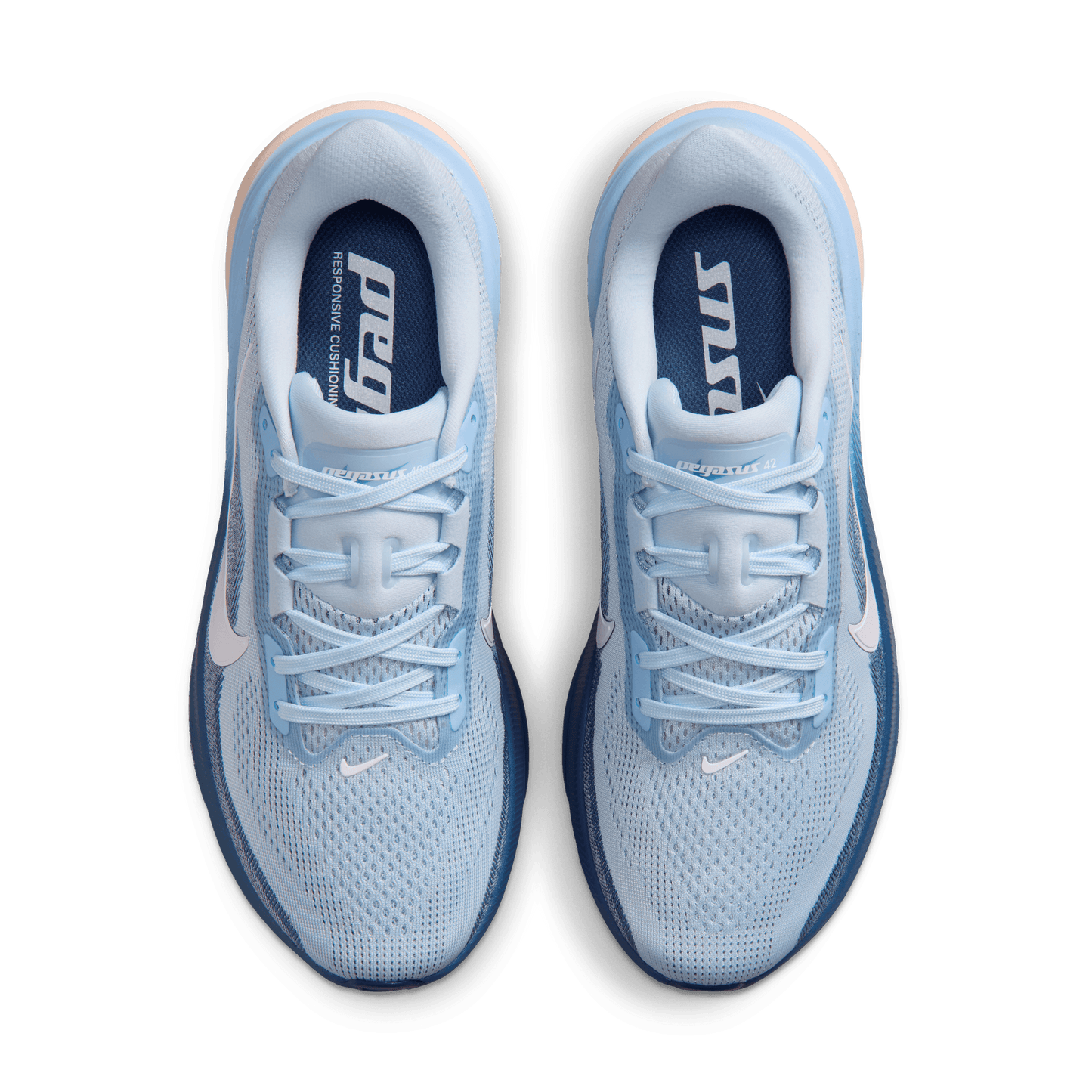 Womens Nike Pegasus 42