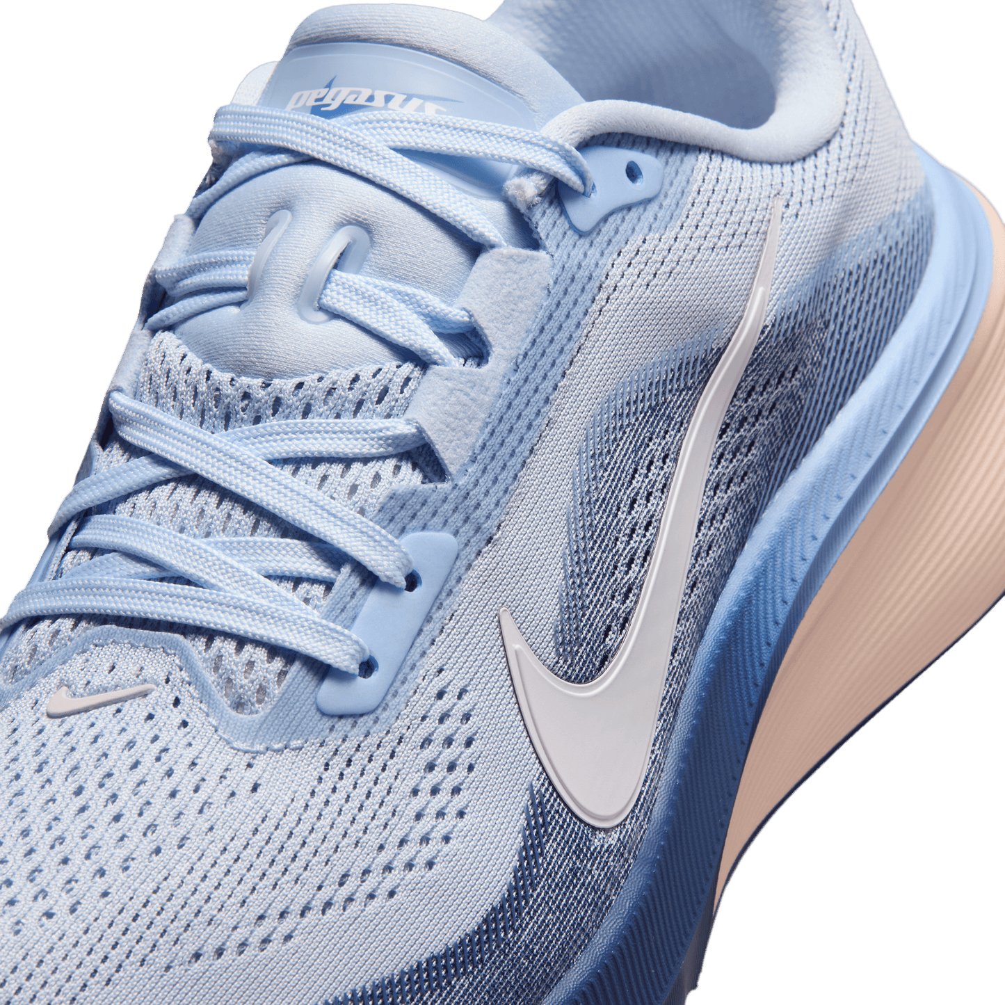 Womens Nike Pegasus 42