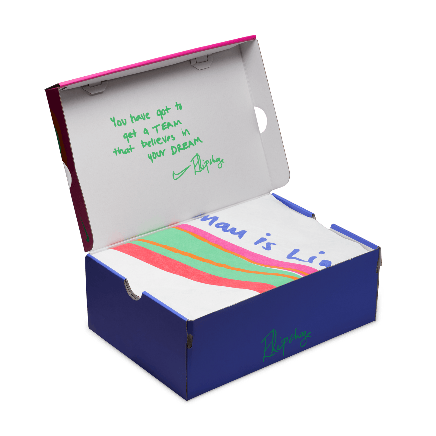 Mens Nike Vaporfly 4 EK