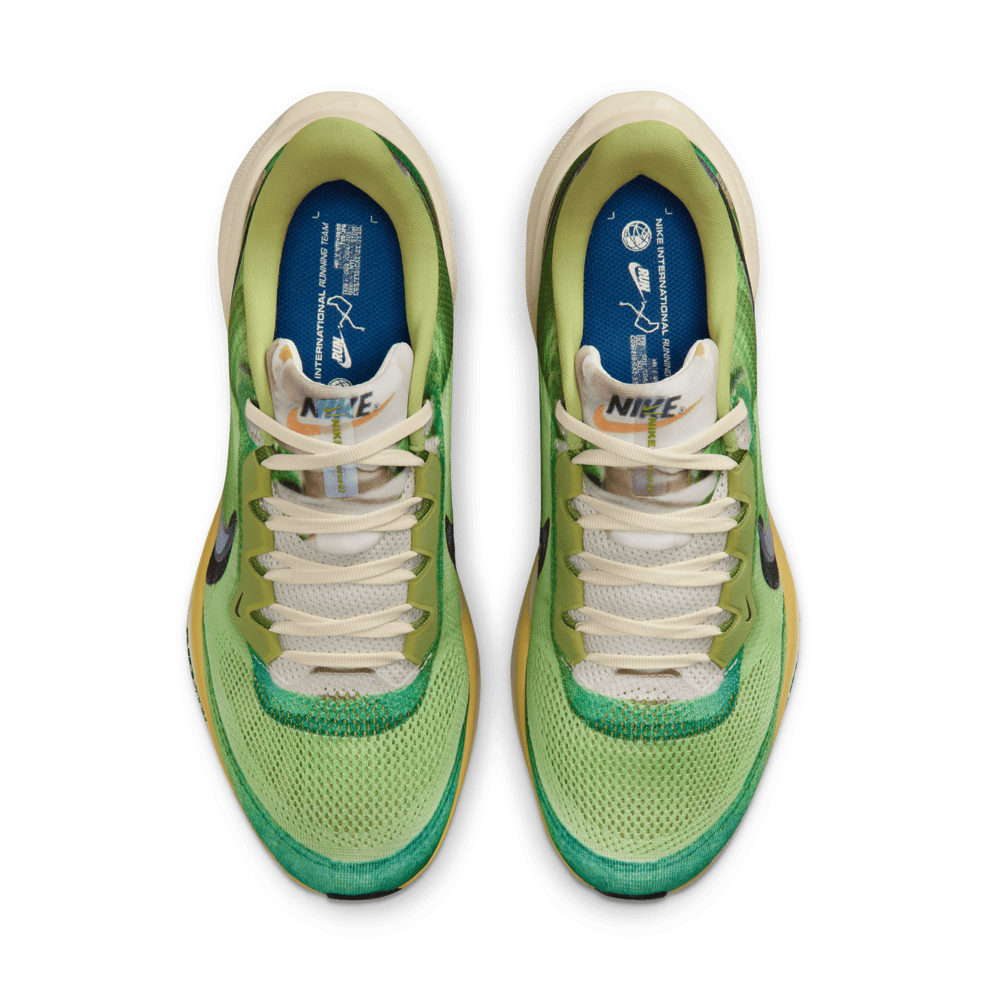 Mens Nike Pegasus 41 SE