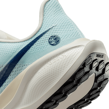 Womens Nike Air Zoom Pegasus 41