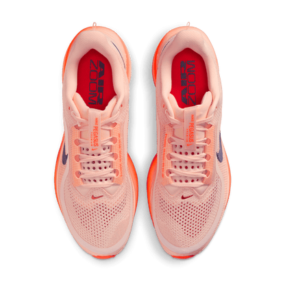 Mens Nike Pegasus Premium