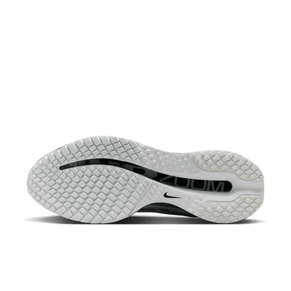 Mens Nike Pegasus Premium RR