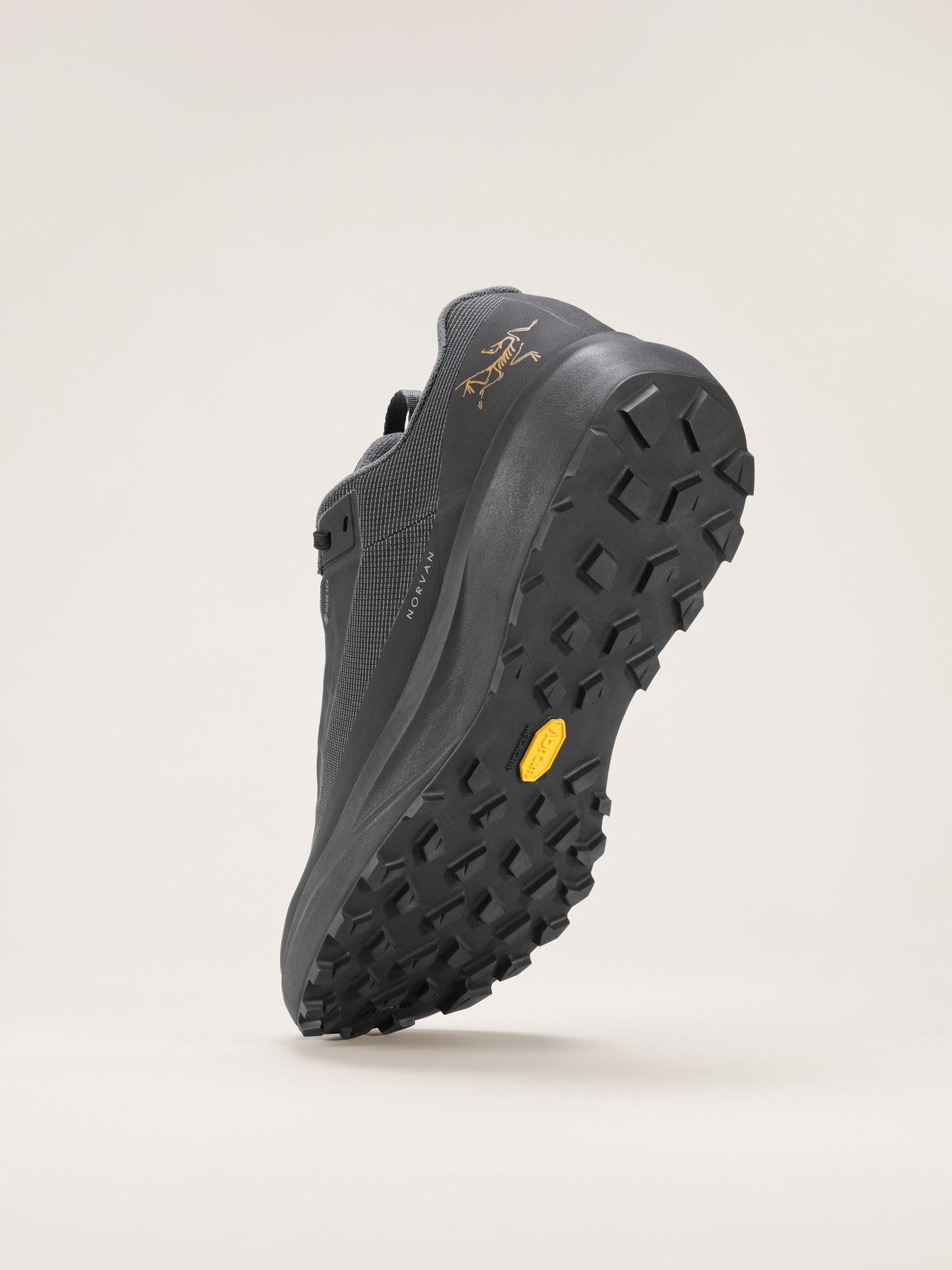 Mens Arc'teryx Norvan LD 4 GTX