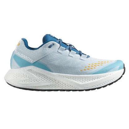 Mens Salomon Aero Glide 3 Grvl