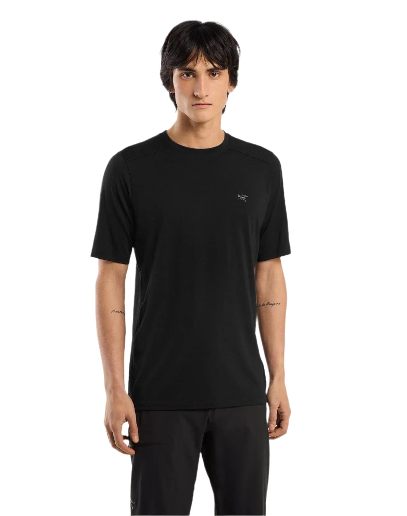 Mens Arc'teryx Ionia Merino Wool SS