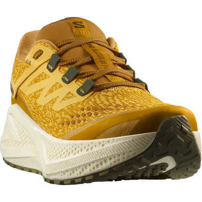 Mens Salomon Aero Glide 3 Grvl