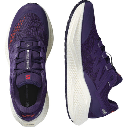 Mens Salomon Aero Glide 3 Grvl