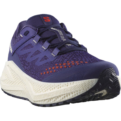 Mens Salomon Aero Glide 3 Grvl