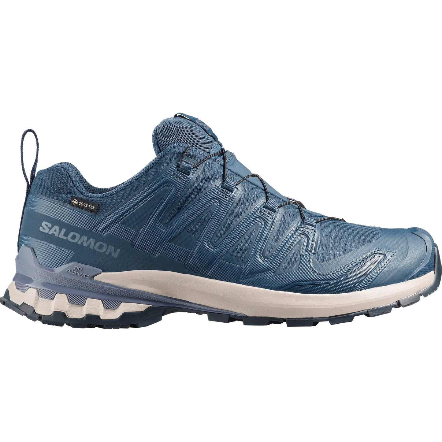 Mens Salomon XA Pro 3D V9 GTX