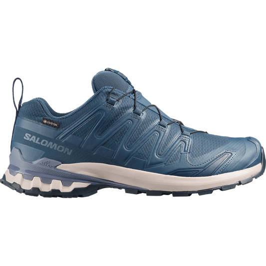 Mens Salomon XA Pro 3D V9 GTX