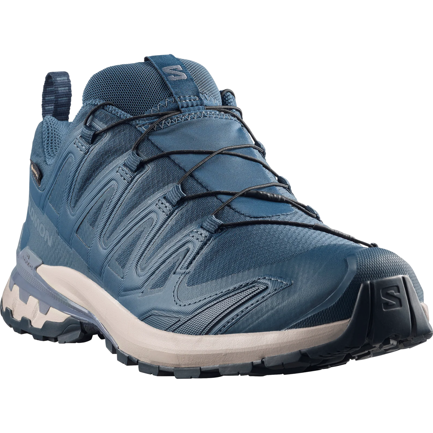 Mens Salomon XA Pro 3D V9 GTX