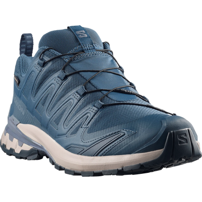 Mens Salomon XA Pro 3D V9 GTX