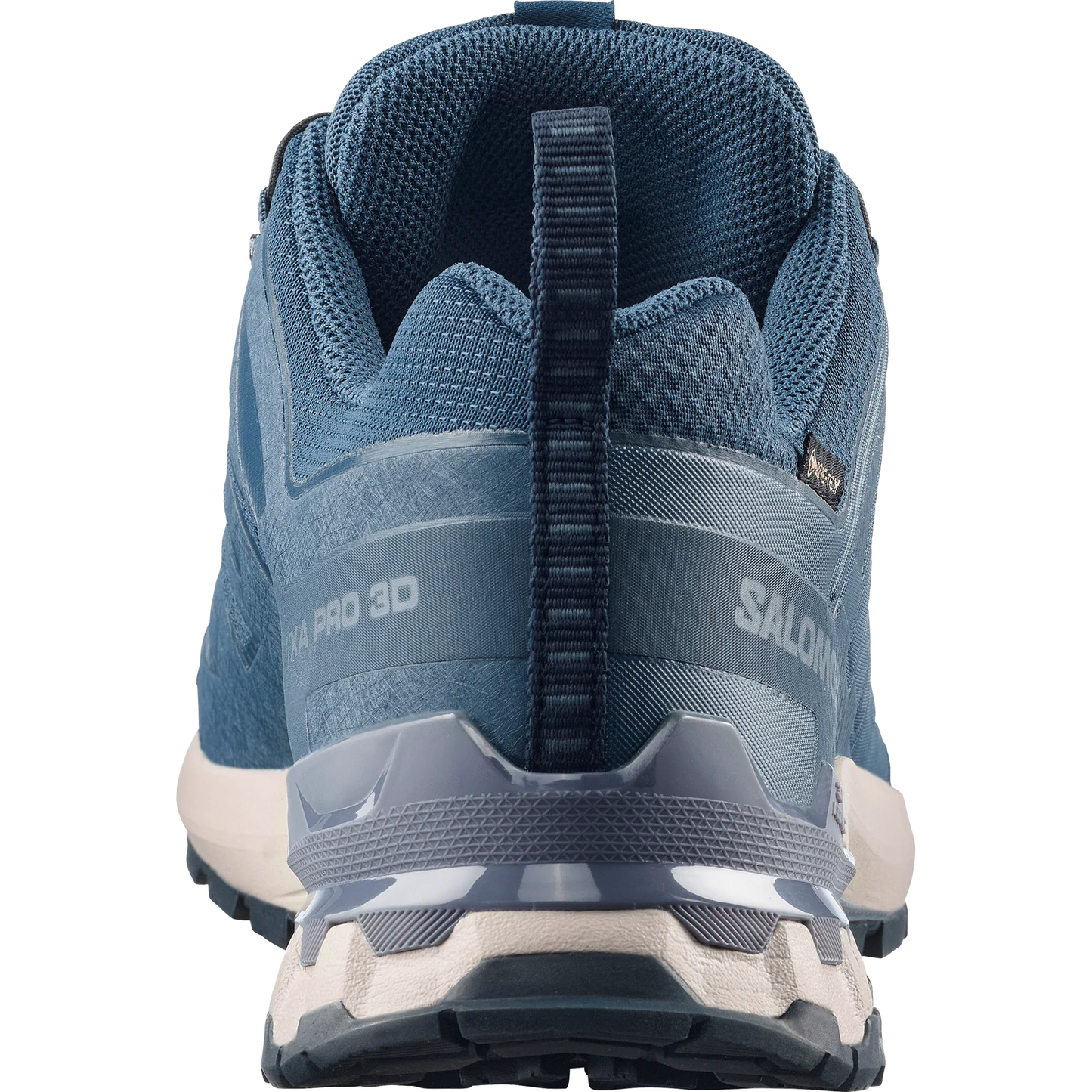 Mens Salomon XA Pro 3D V9 GTX