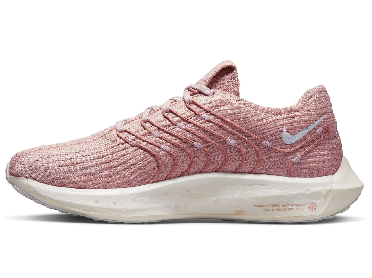 Womens Nike Pegasus Turbo Flyknit Next Nature