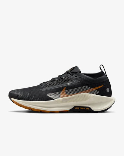 Mens Nike Pegasus Trail 5 GTX