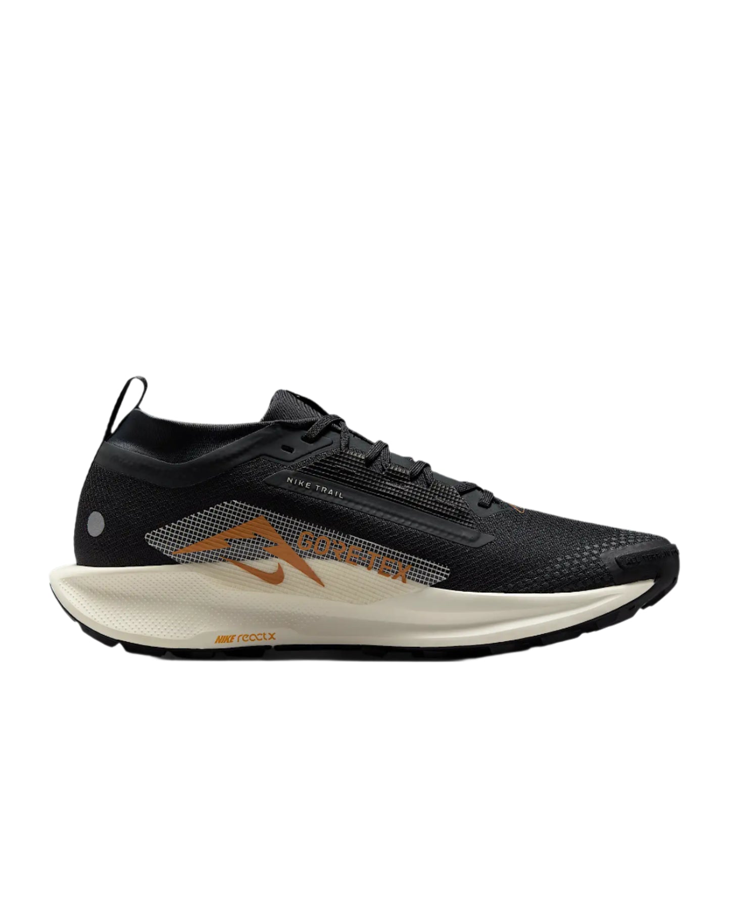 Mens Nike Pegasus Trail 5 GTX