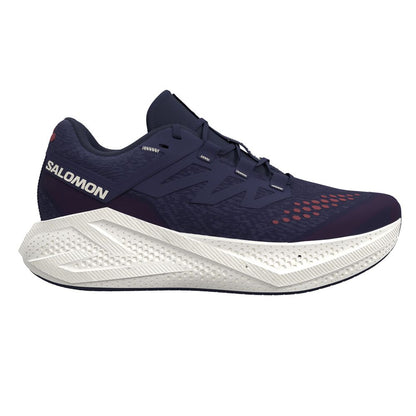 Mens Salomon Aero Glide 3 Grvl
