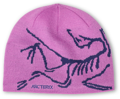 Unisex Arc'teryx Bird Head Toque – The Running Company