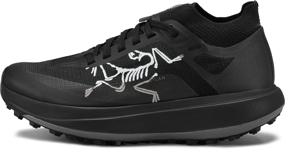 Mens Arc'teryx Sylan Pro