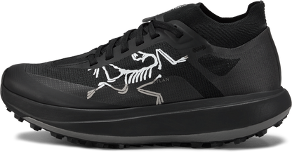 Mens Arc'teryx Sylan Pro