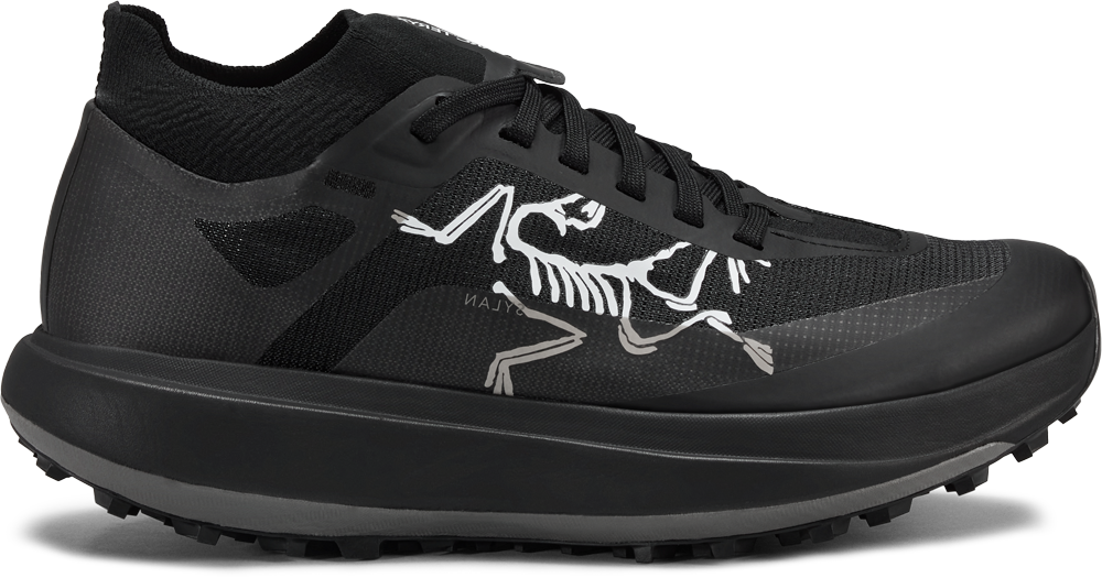 Womens Arc'teryx Sylan Pro