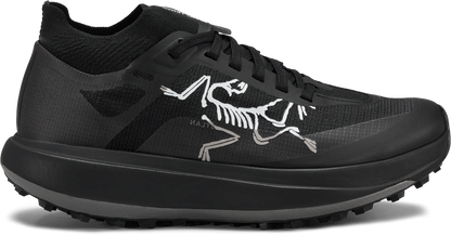 Womens Arc'teryx Sylan Pro