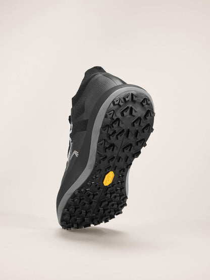 Womens Arc'teryx Sylan Pro