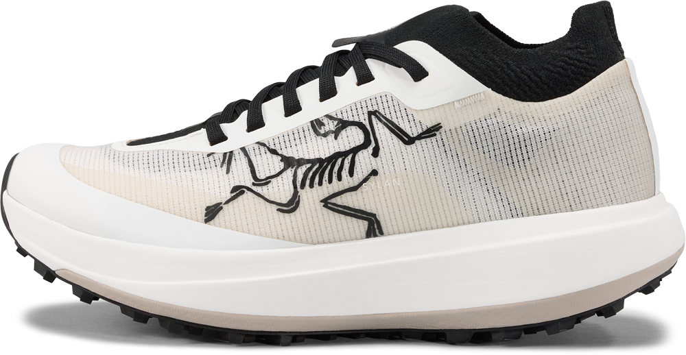 Mens Arc'teryx Sylan Pro