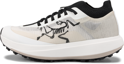 Mens Arc'teryx Sylan Pro