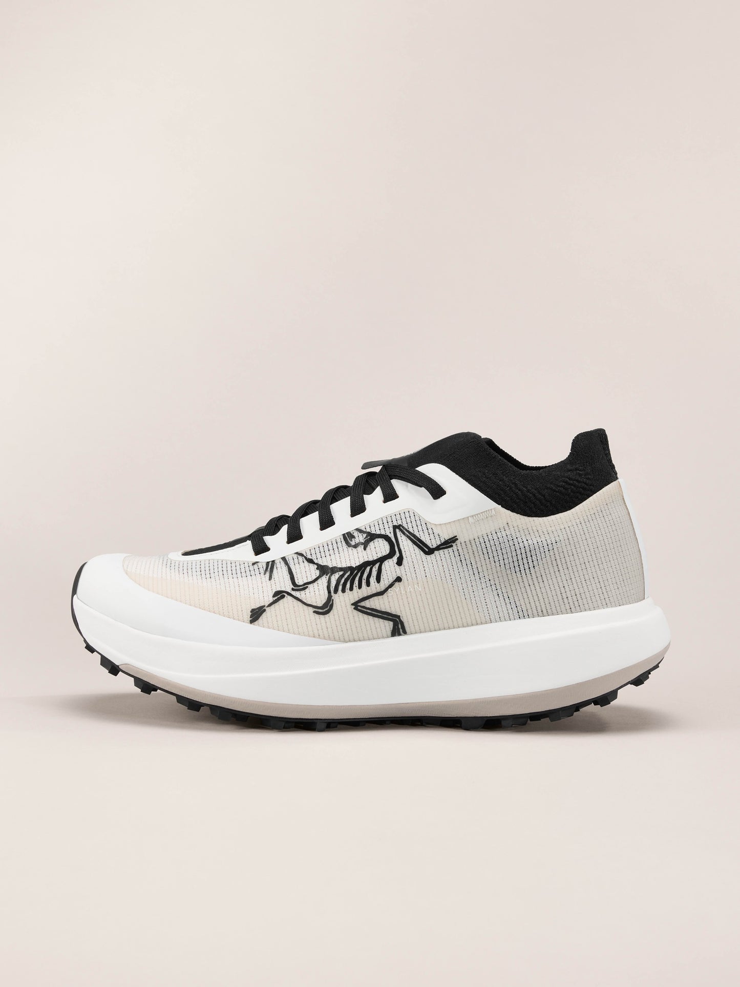 Mens Arc'teryx Sylan Pro