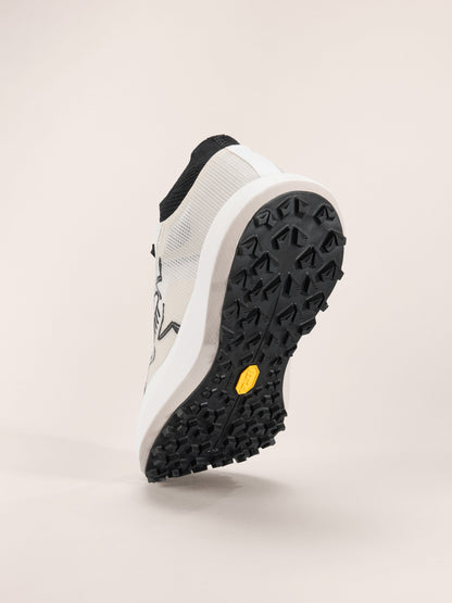 Mens Arc'teryx Sylan Pro