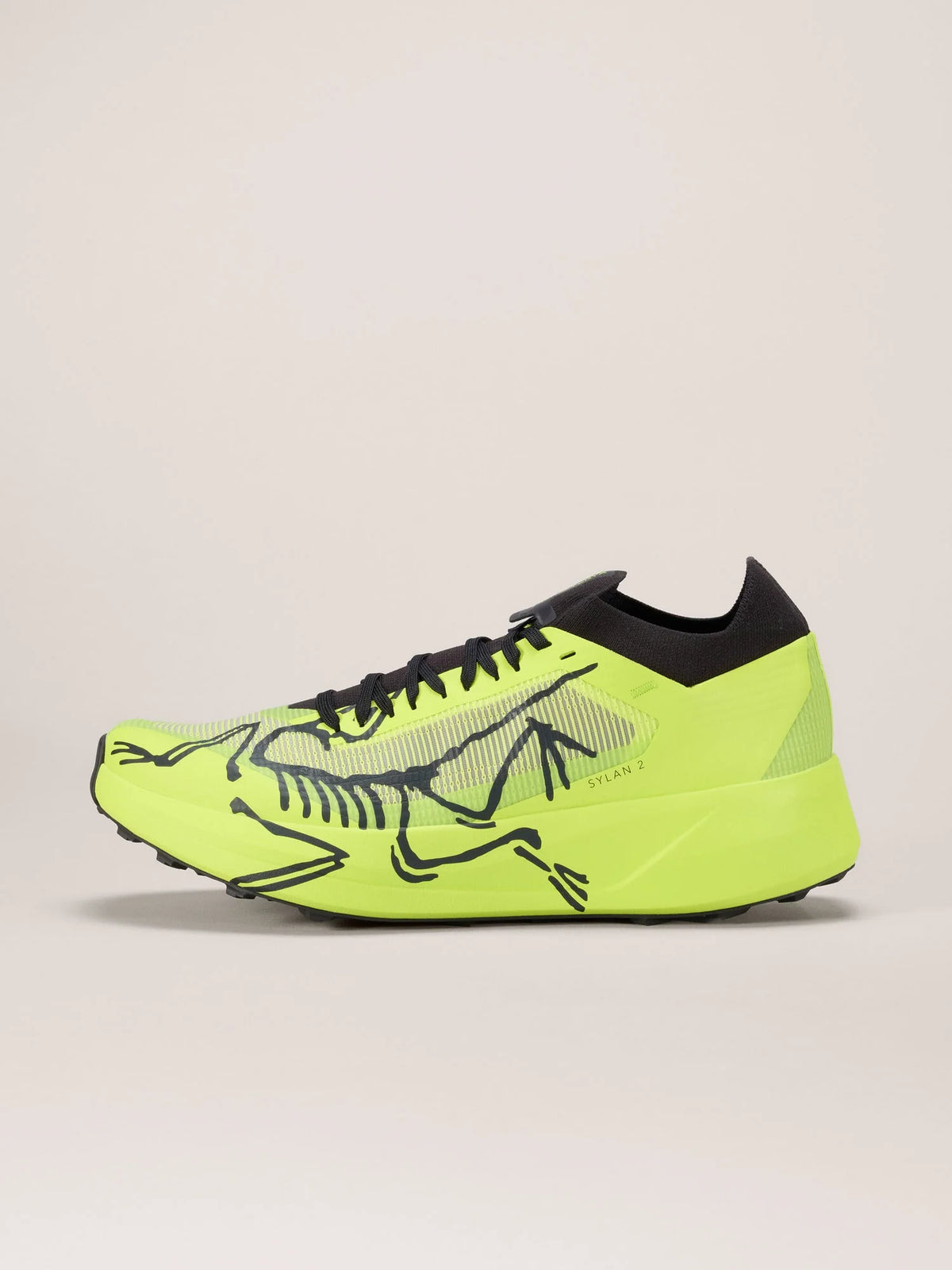 Mens Arc'teryx Sylan 2