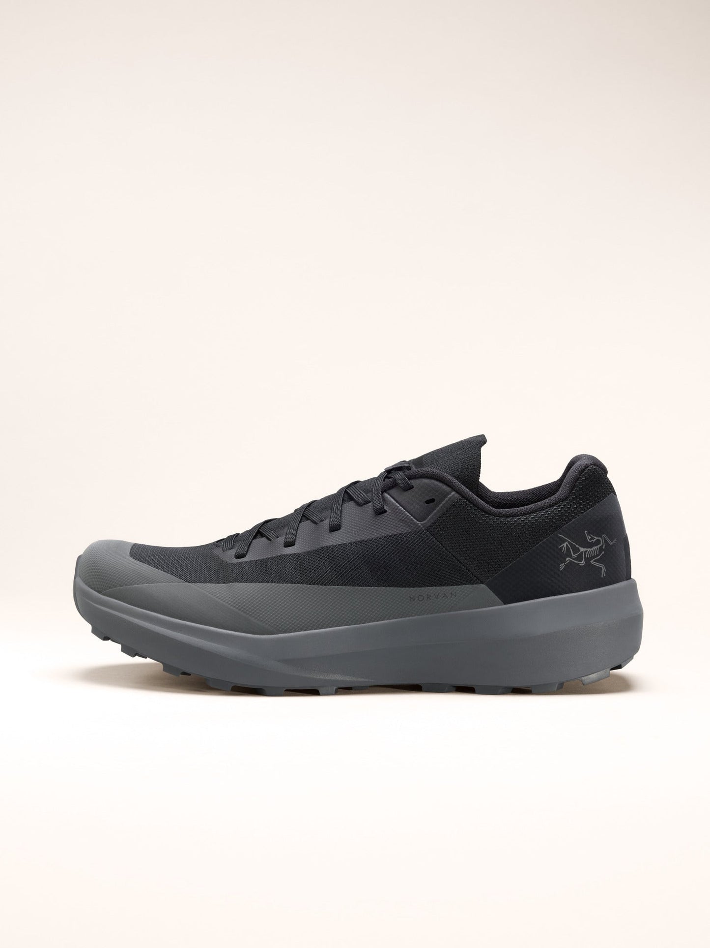 Mens Arc'teryx Norvan LD 4