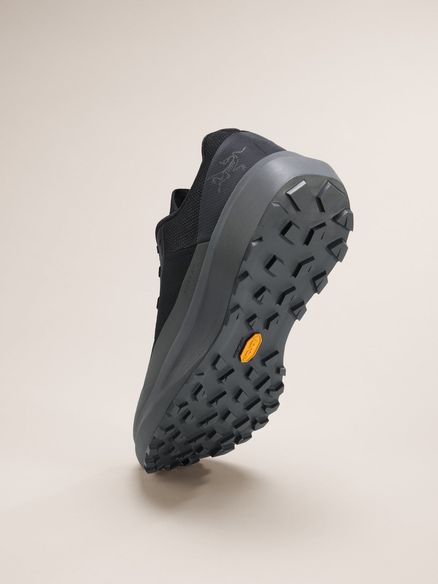 Mens Arc'teryx Norvan LD 4