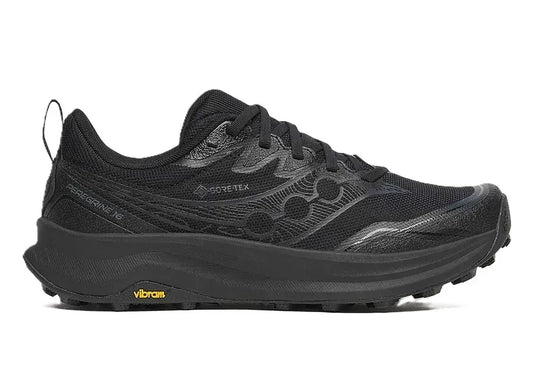 Womens Saucony Peregrine 16 GTX