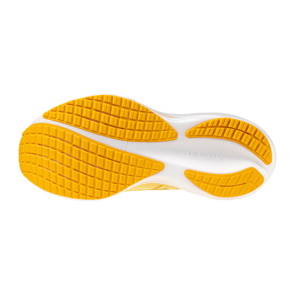 Womens Mizuno Wave Rider 29