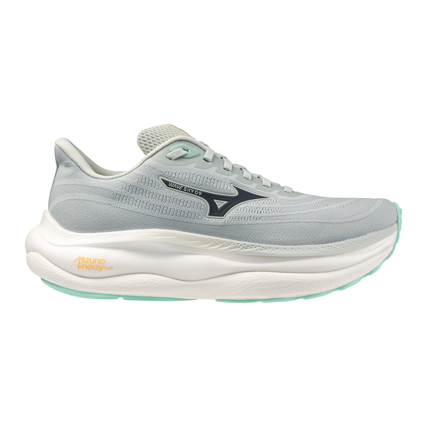 Womens Mizuno Wave Sky 9 (D Wide)