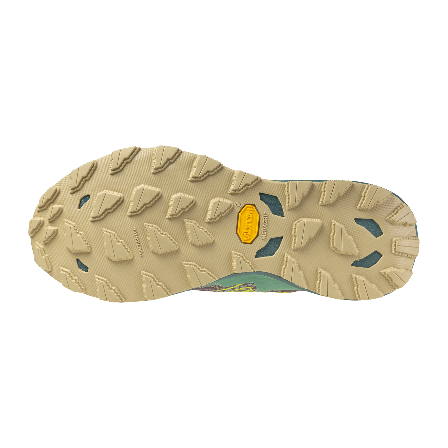 Womens Mizuno Wave Daichi 9