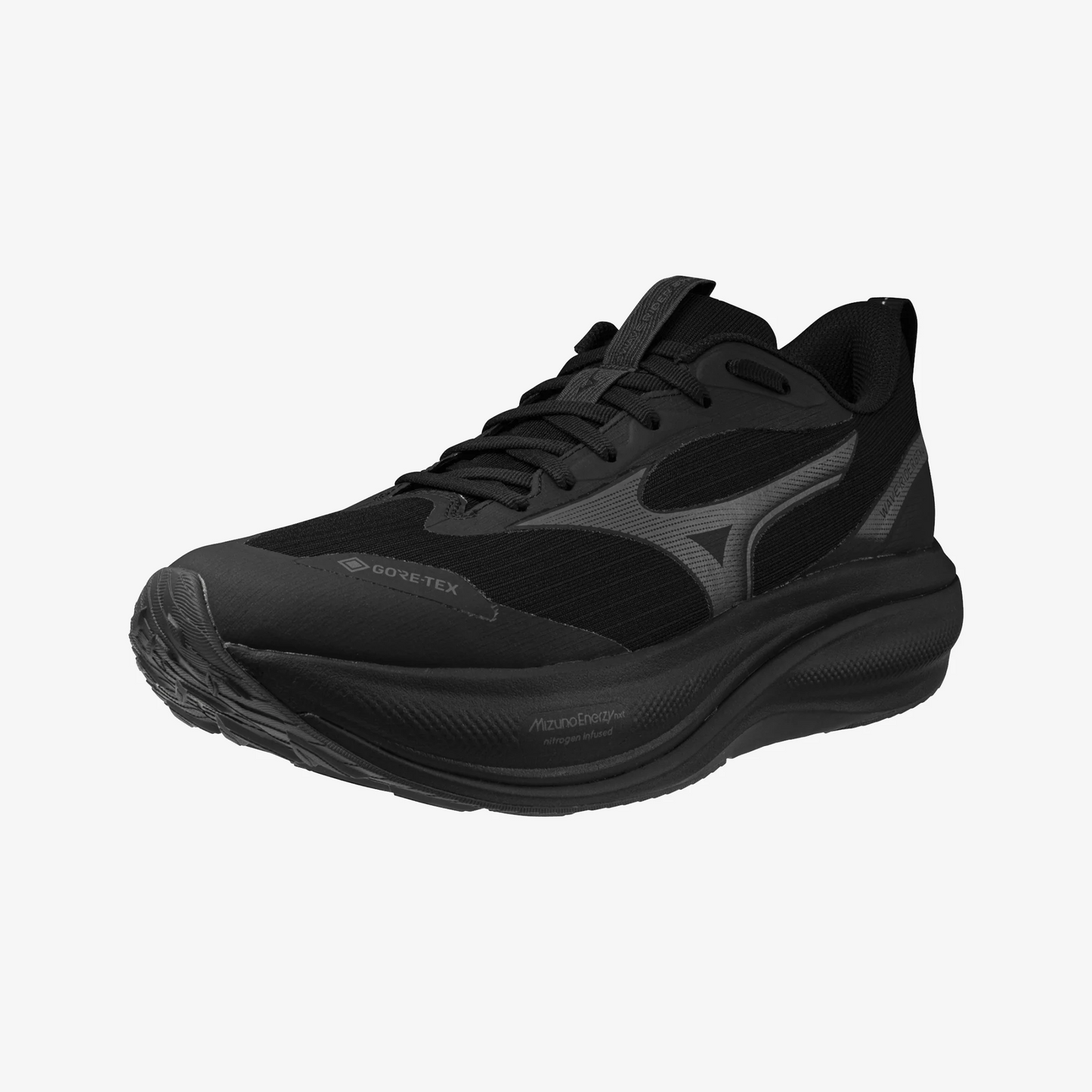 Mens Mizuno Wave Rider GTX 4 (2E Wide)