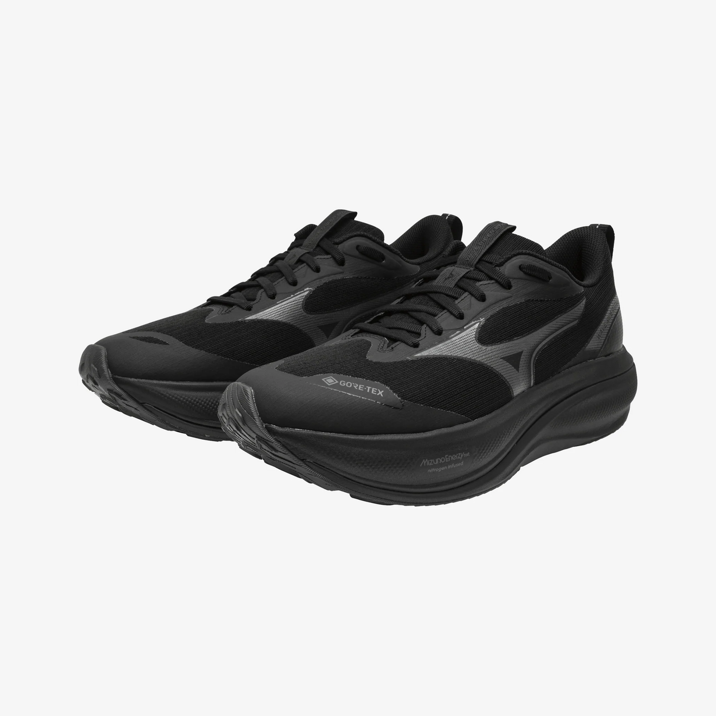 Mens Mizuno Wave Rider GTX 4 (2E Wide)