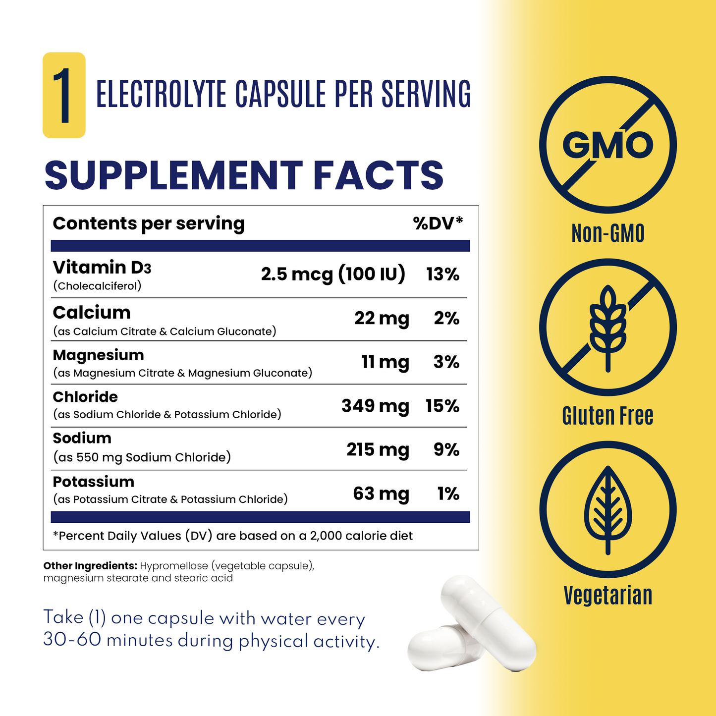 SaltStick Electrolyte Capsules - 100 Caps