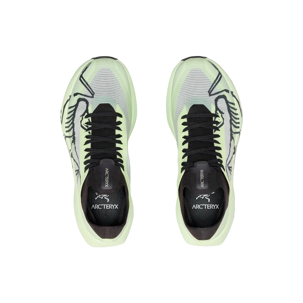 Womens Arc'teryx Sylan 2