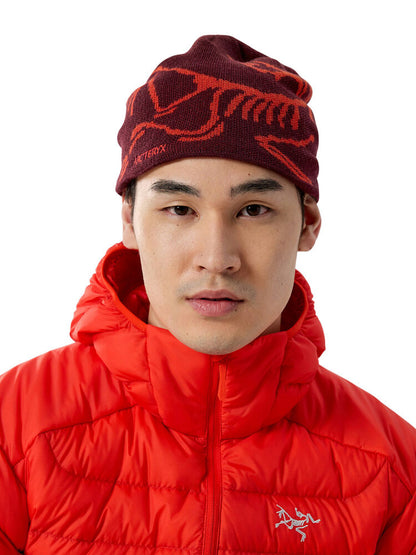 Unisex Arc'teryx Bird Head Toque
