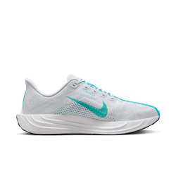 Mens Nike Pegasus Plus