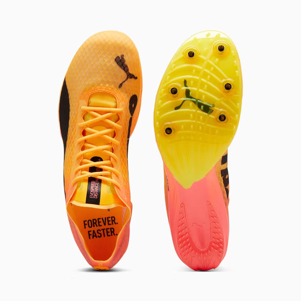 Unisex Puma evoSPEED Distance NITRO Elite+ 4