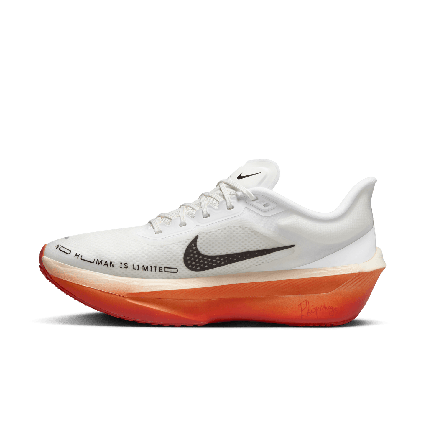 Mens Nike Zoom Fly 6 EK