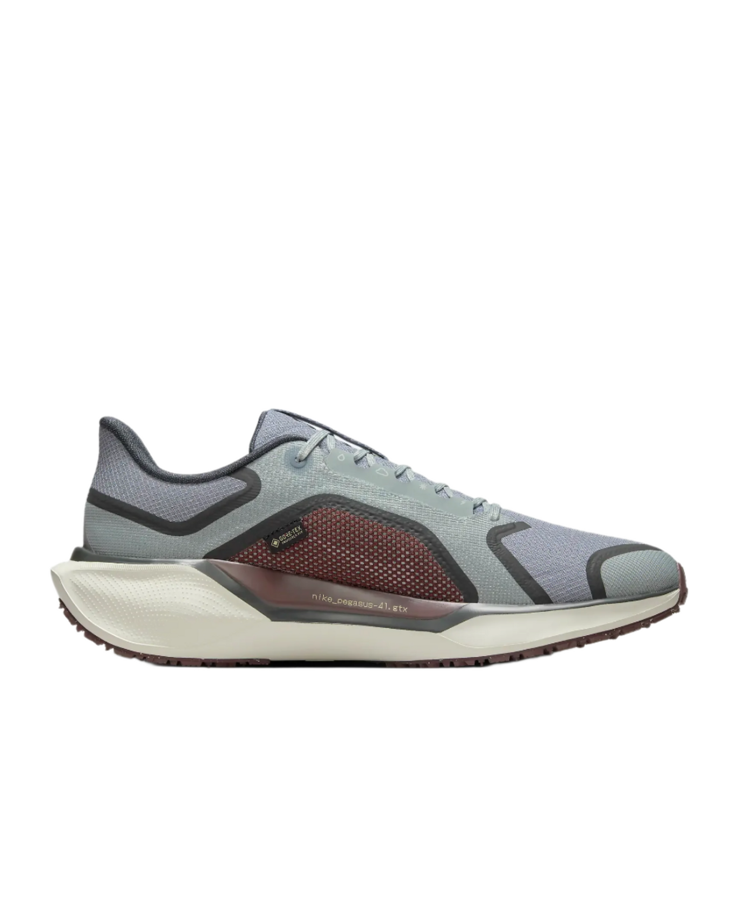 Mens Nike Pegasus 41 GTX