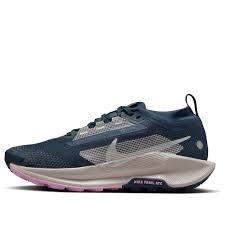 Womens Nike Pegasus Trail 5 GTX