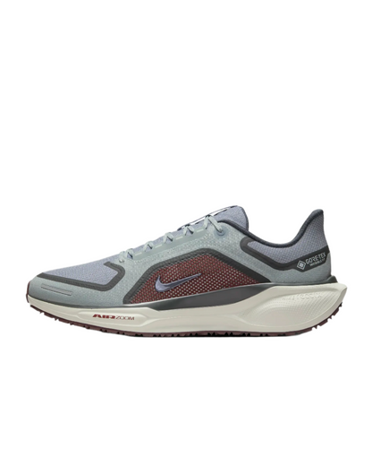 Mens Nike Pegasus 41 GTX